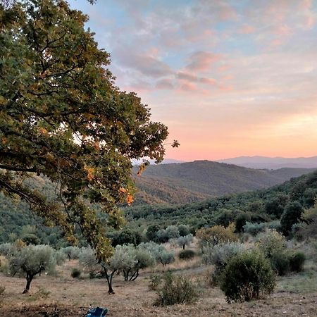 Вилла Nocini Di Maremma Tatti Экстерьер фото