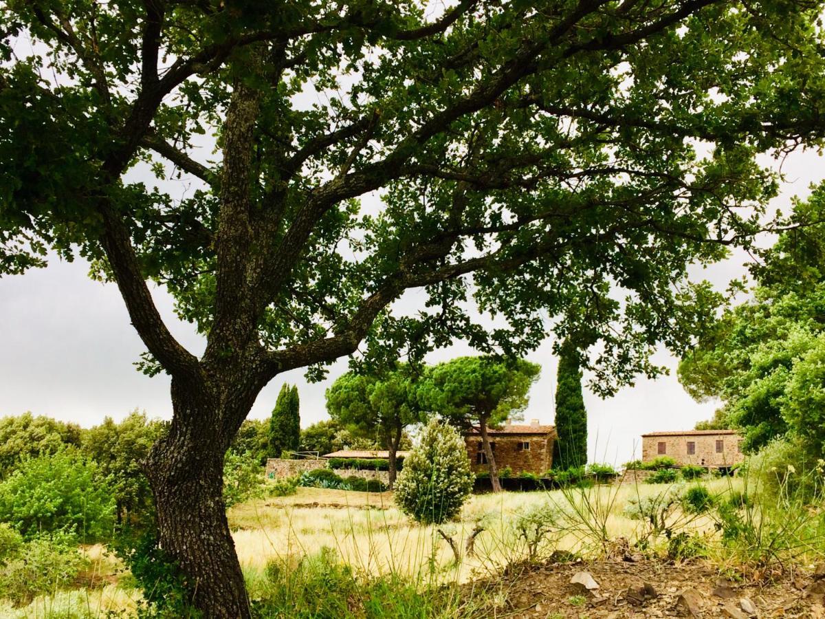 Вилла Nocini Di Maremma Tatti Экстерьер фото