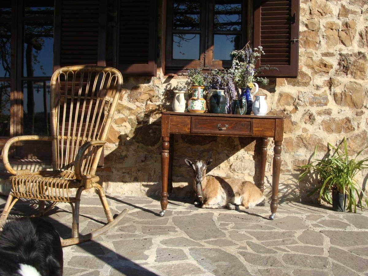 Вилла Nocini Di Maremma Tatti Экстерьер фото