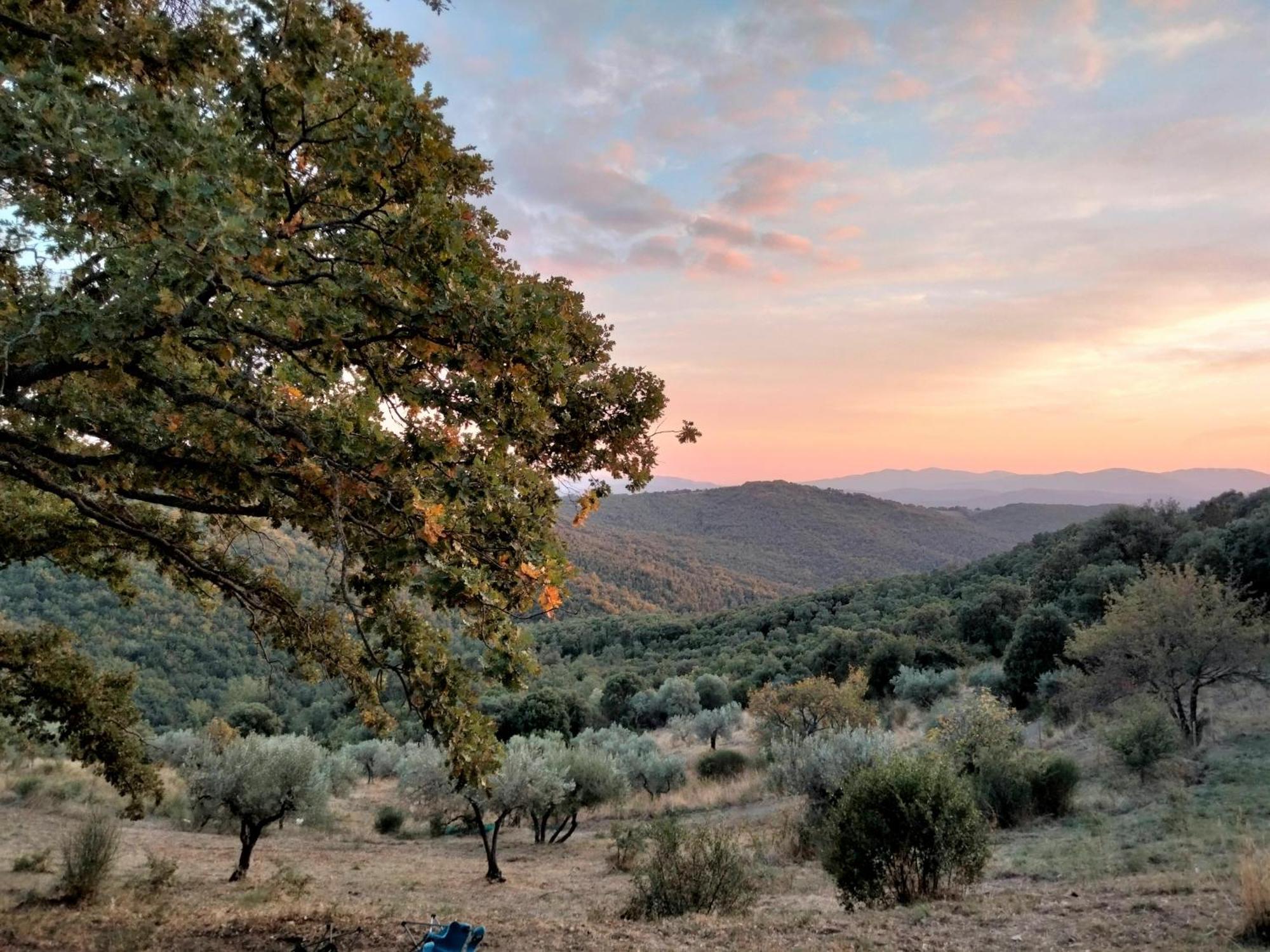 Вилла Nocini Di Maremma Tatti Экстерьер фото