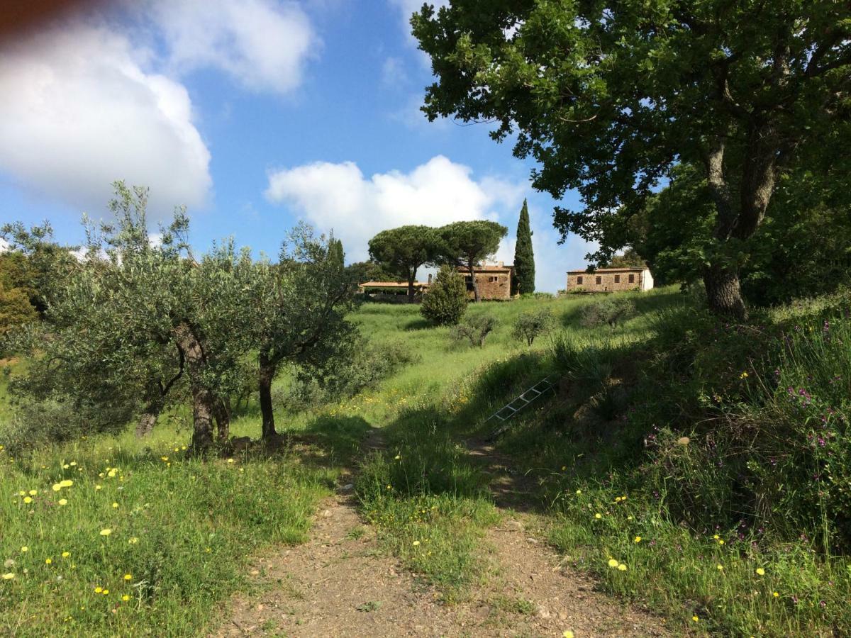 Вилла Nocini Di Maremma Tatti Экстерьер фото