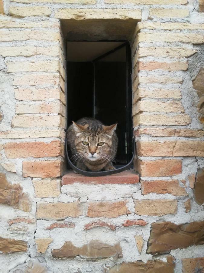 Вилла Nocini Di Maremma Tatti Экстерьер фото